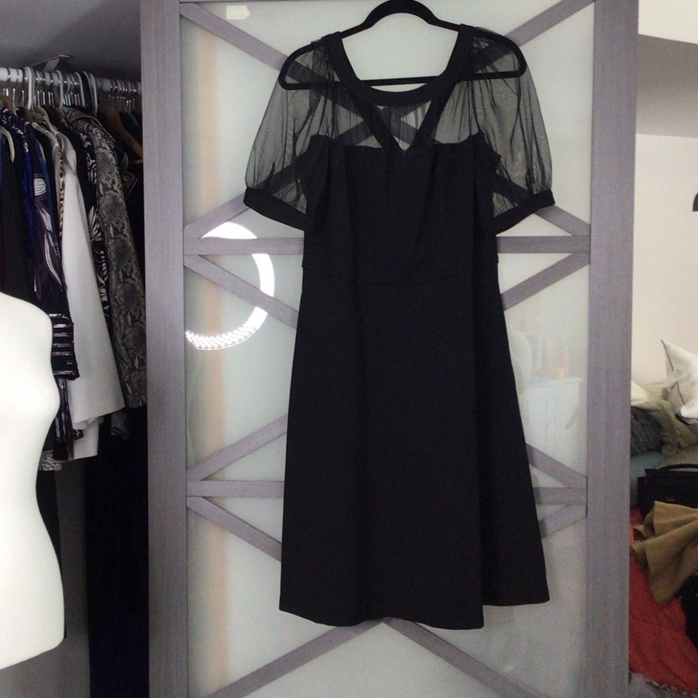 Maggy London Black Dress with Sheer Sleeves - Picture 4 of 12